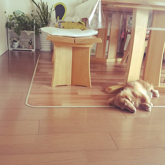 sumireさんの実例写真