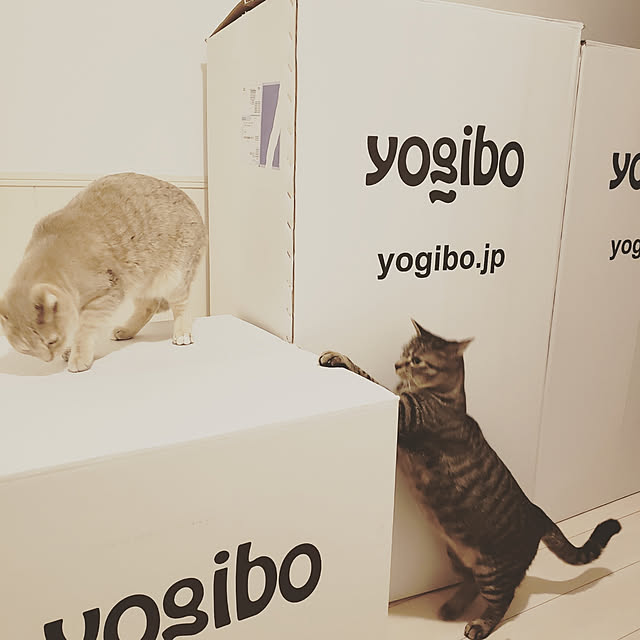 nellyさんの実例写真