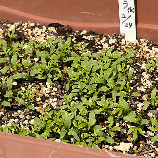 ritsukoさんの部屋