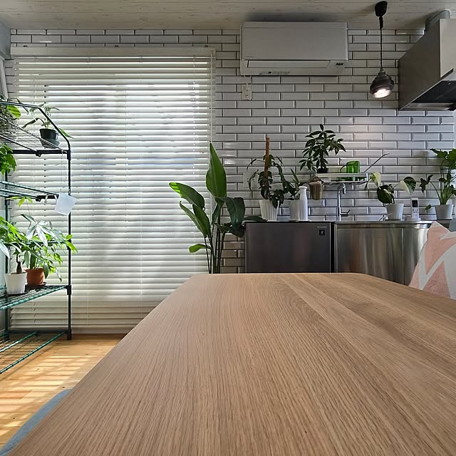 nonbiri_house_さんの部屋