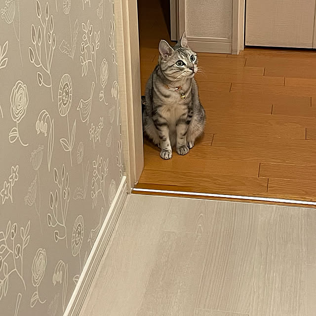 umeumeさんの実例写真