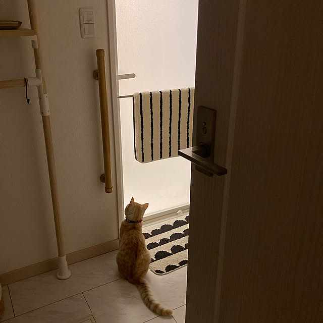 m.k.mさんの実例写真
