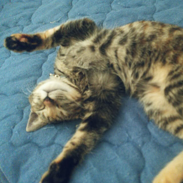 genさんの実例写真