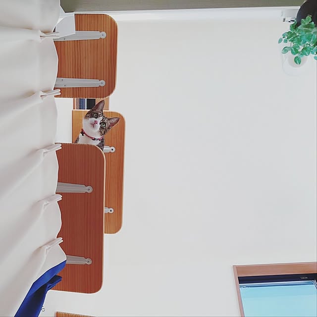 mochicoさんの実例写真