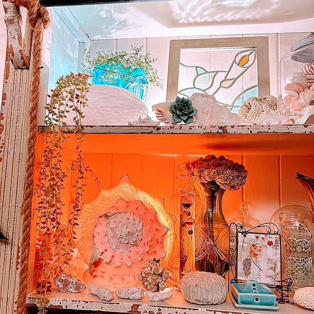 akaidarumaさんの部屋