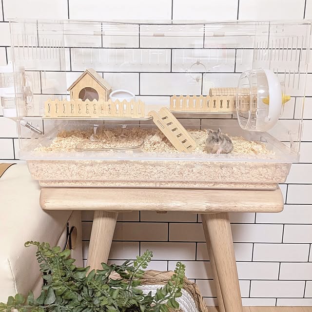 mamenoさんの部屋