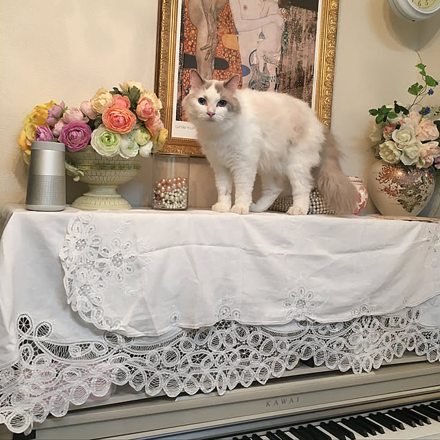 Moncheriさんの実例写真