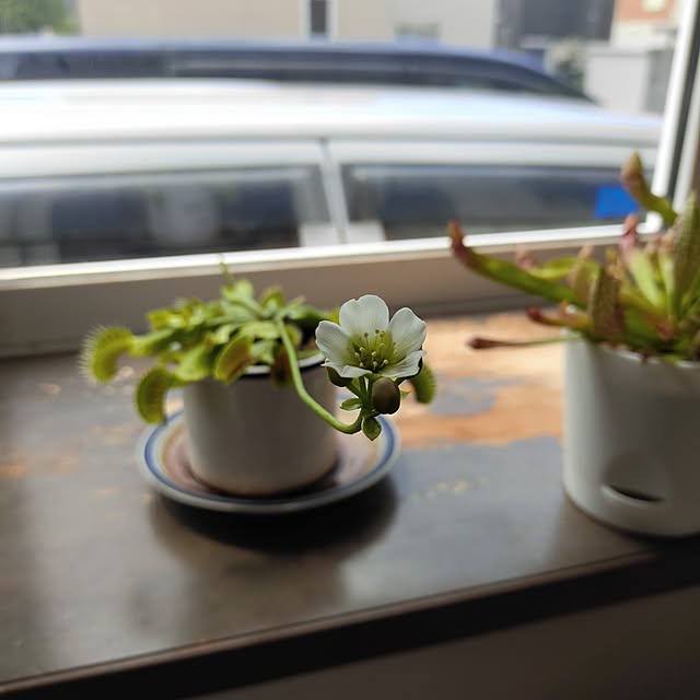 kiraさんの部屋