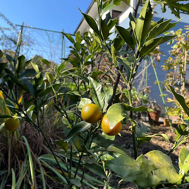 natsumiさんの部屋