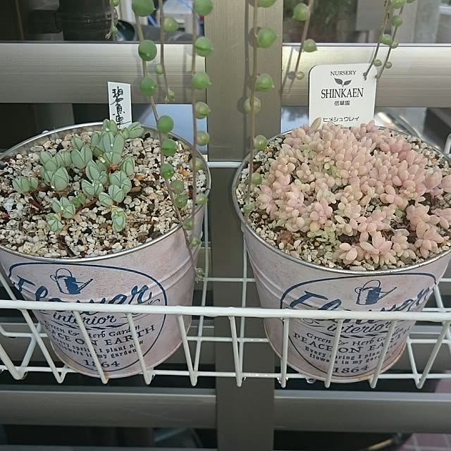 hideさんの実例写真