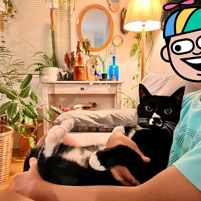 ochoriさんの実例写真