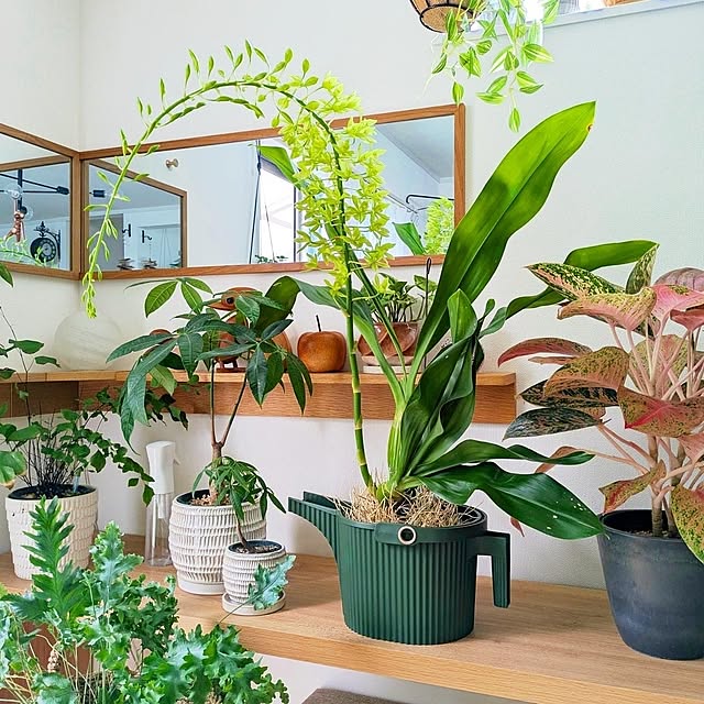 ayamameさんの部屋