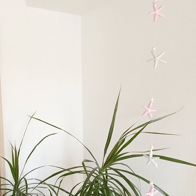 siousagiさんの実例写真