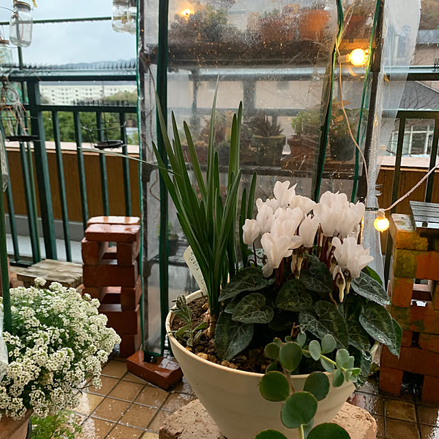 Aqettyさんの部屋
