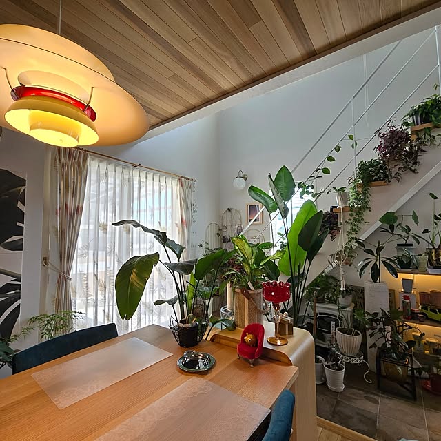 nonbiri_house_さんの部屋