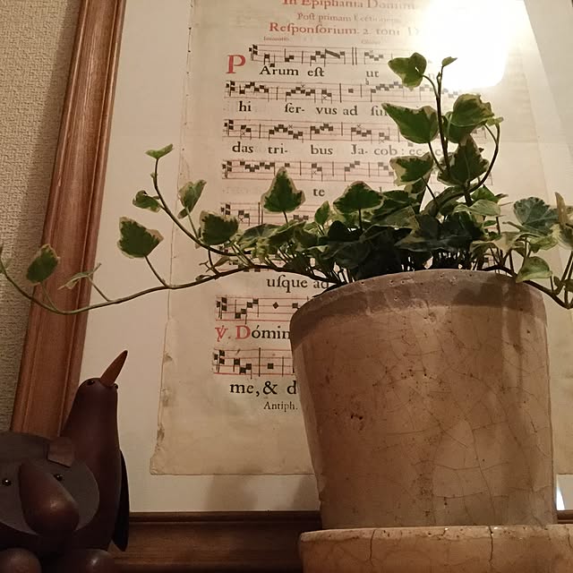 Gentaさんの実例写真