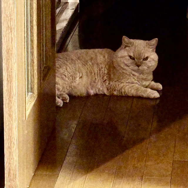 naokoさんの部屋
