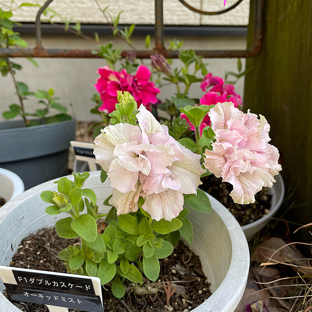 natsumiさんの部屋