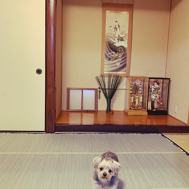 marcheさんの実例写真