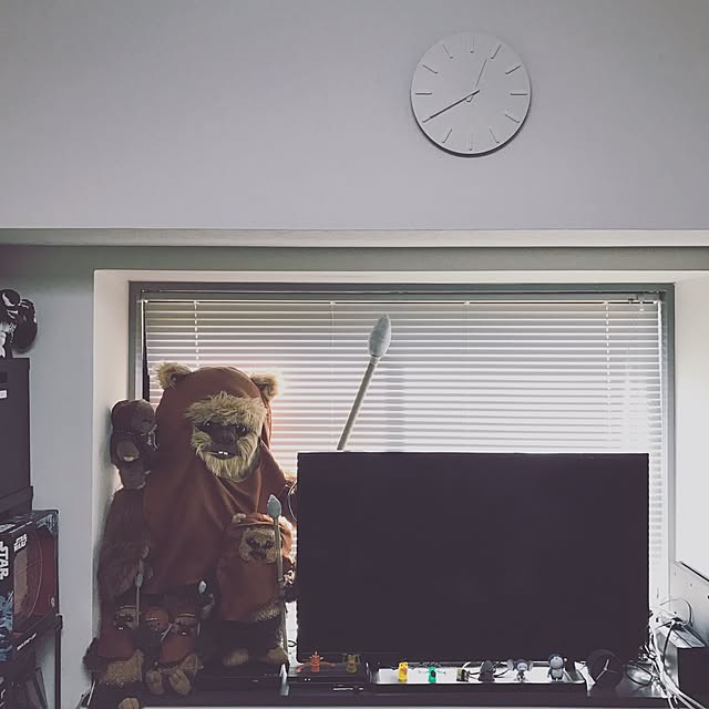 Hotateさんの実例写真