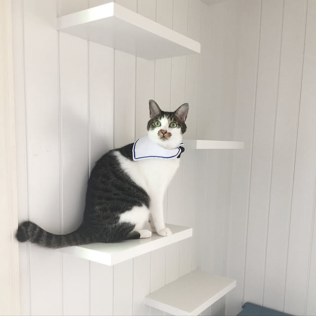 yuchiさんの実例写真