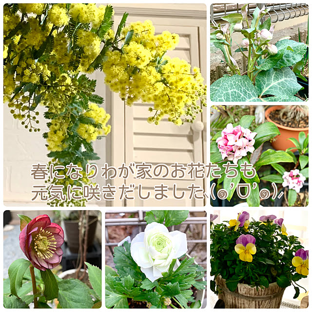 mo-nosukeさんの実例写真