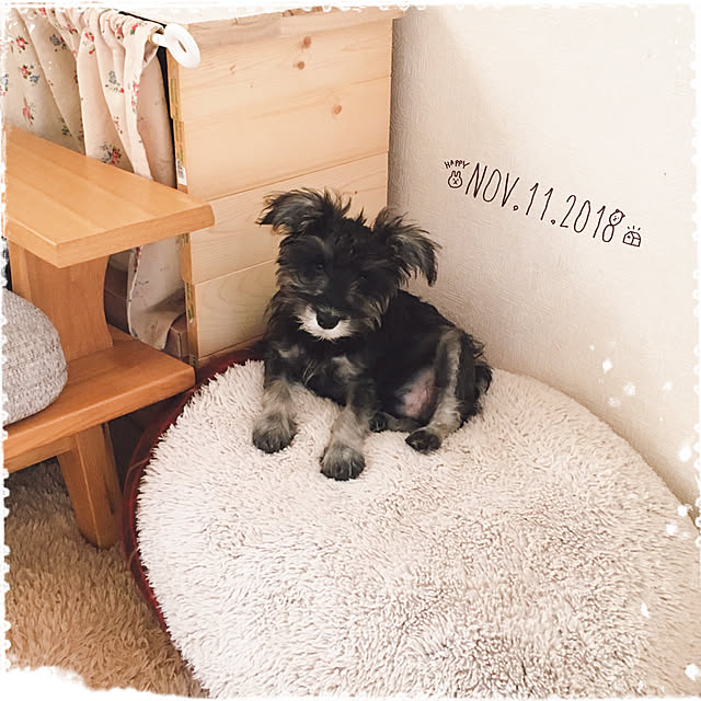 mimizukさんの実例写真