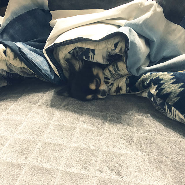 Ayaさんの実例写真