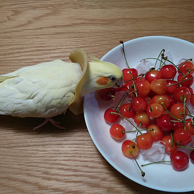 机のインテリア実例 - 2017-06-23 20:38:59