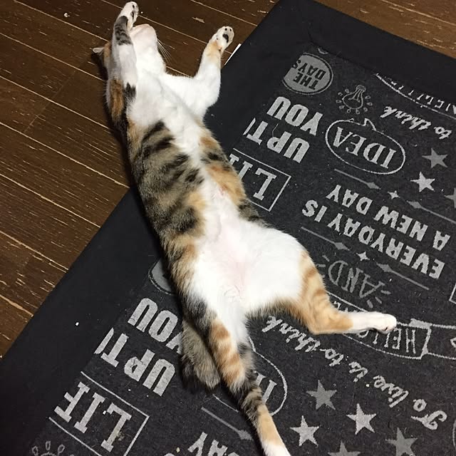 vivienne.coco-keiさんの実例写真