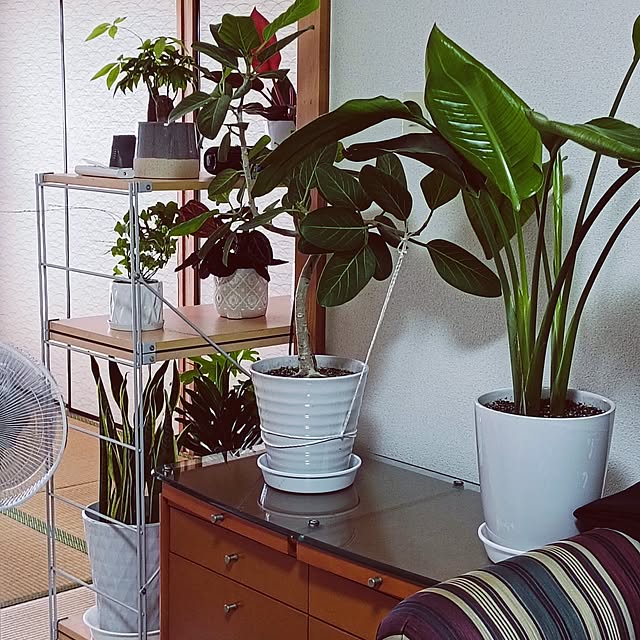 hanachanさんの実例写真