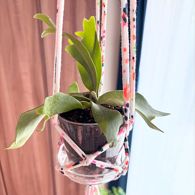 saoさんの部屋