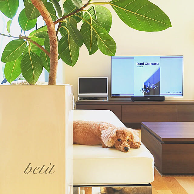 petitさんの実例写真