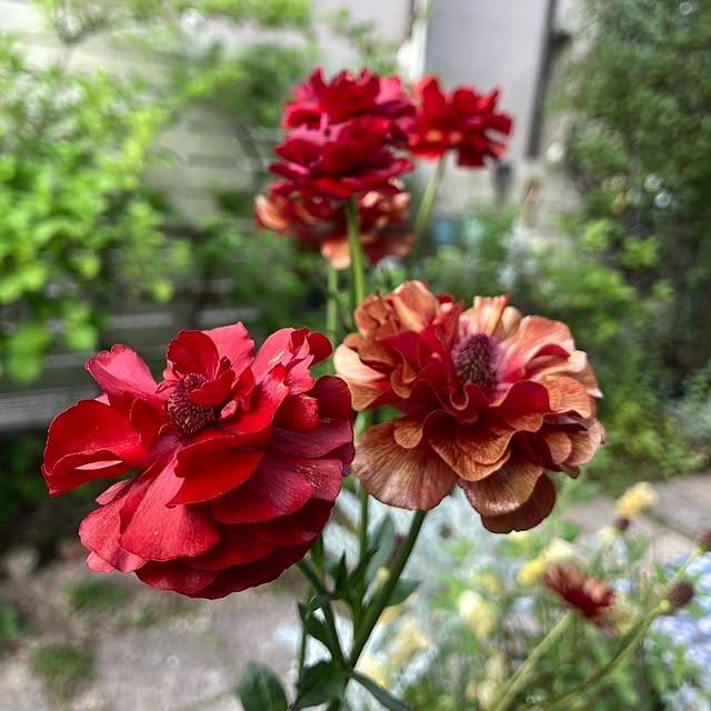min_nimさんの実例写真