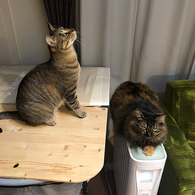 mikomaruさんの実例写真