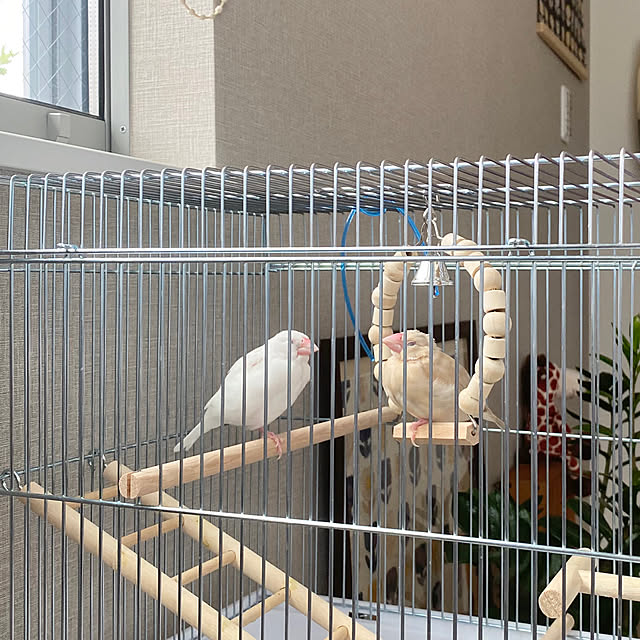 hananokaoriさんの実例写真