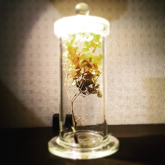 kichanさんの実例写真