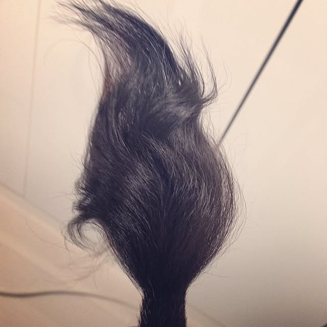 Naokiさんの実例写真