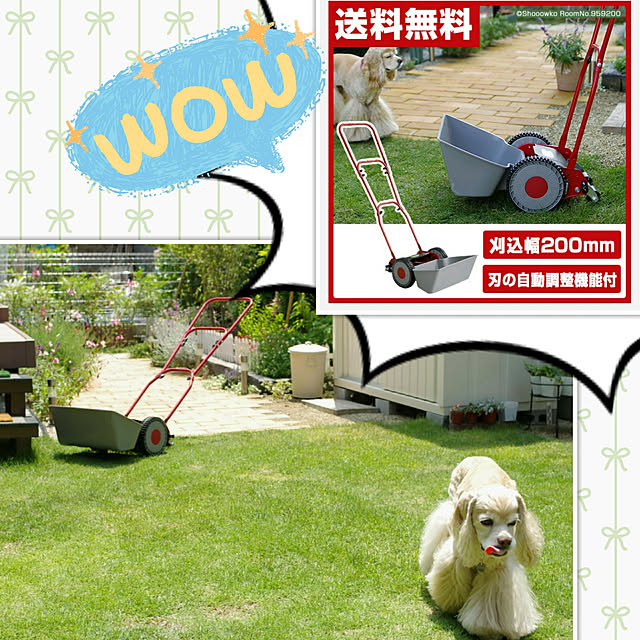 Shooowkoさんの実例写真