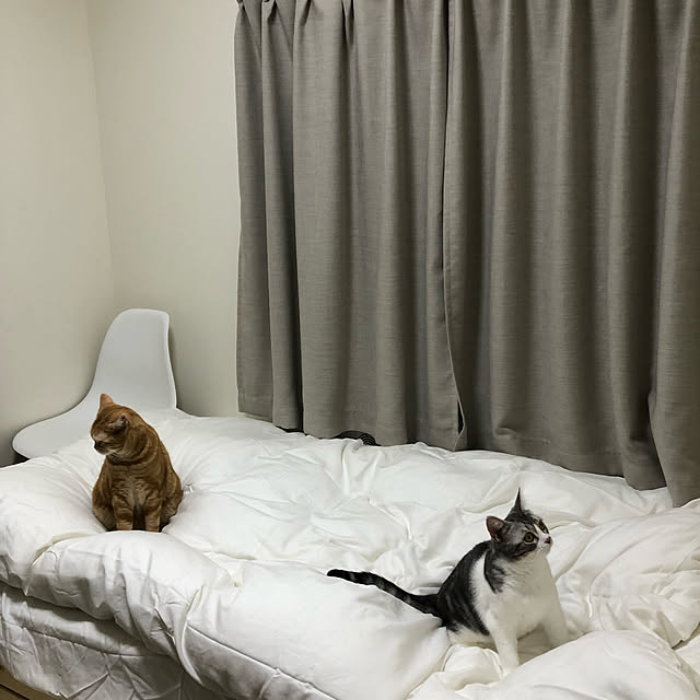 Atelier.mさんの実例写真