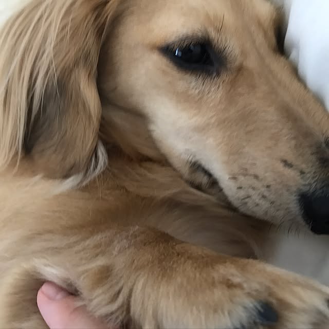 mariaさんの実例写真