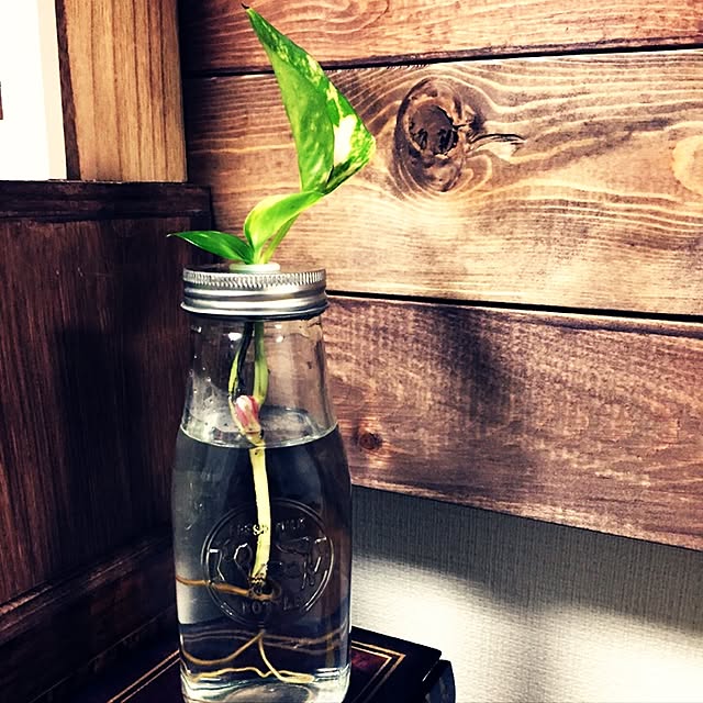 pannakocchanさんの実例写真