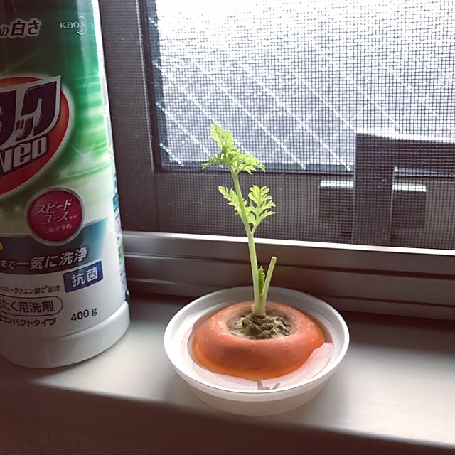 sanmaape50さんの実例写真