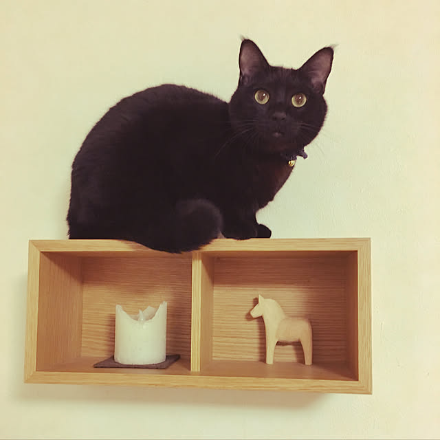 nonoさんの実例写真
