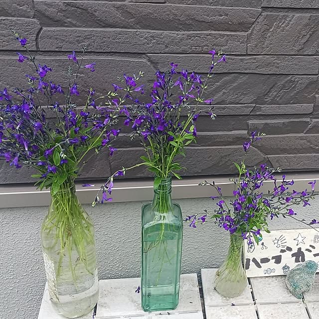 aiさんの部屋