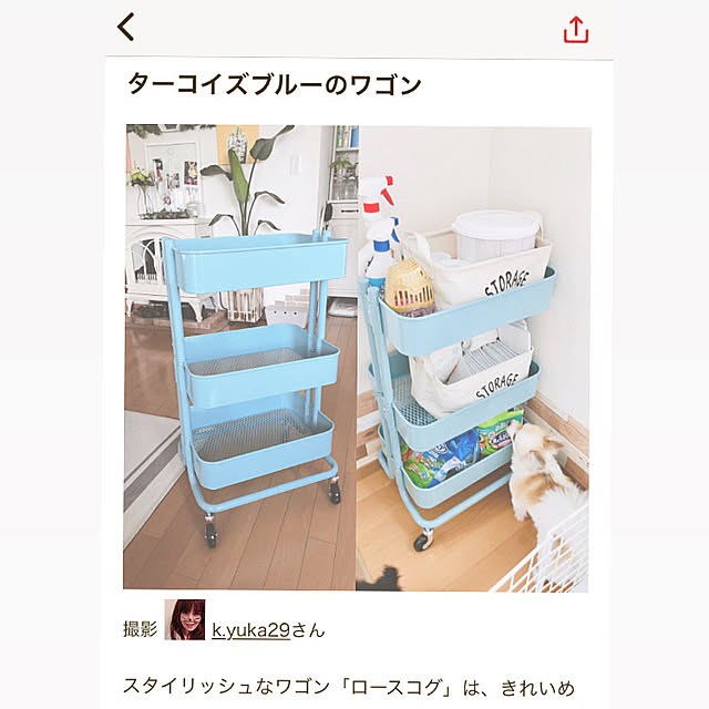 k.yuka29さんの実例写真