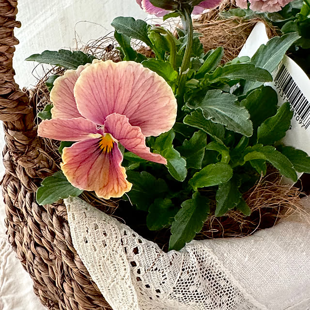 Chigusaさんの部屋