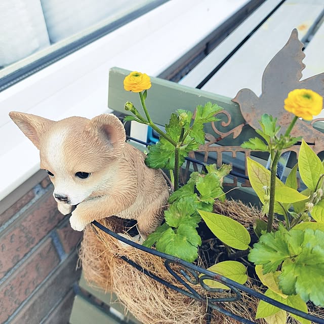 kiraさんの実例写真