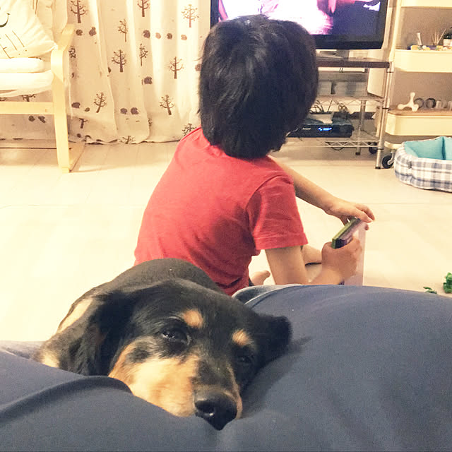 ohanaさんの実例写真
