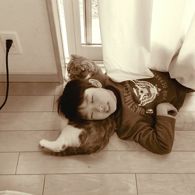 anadorunaさんの実例写真